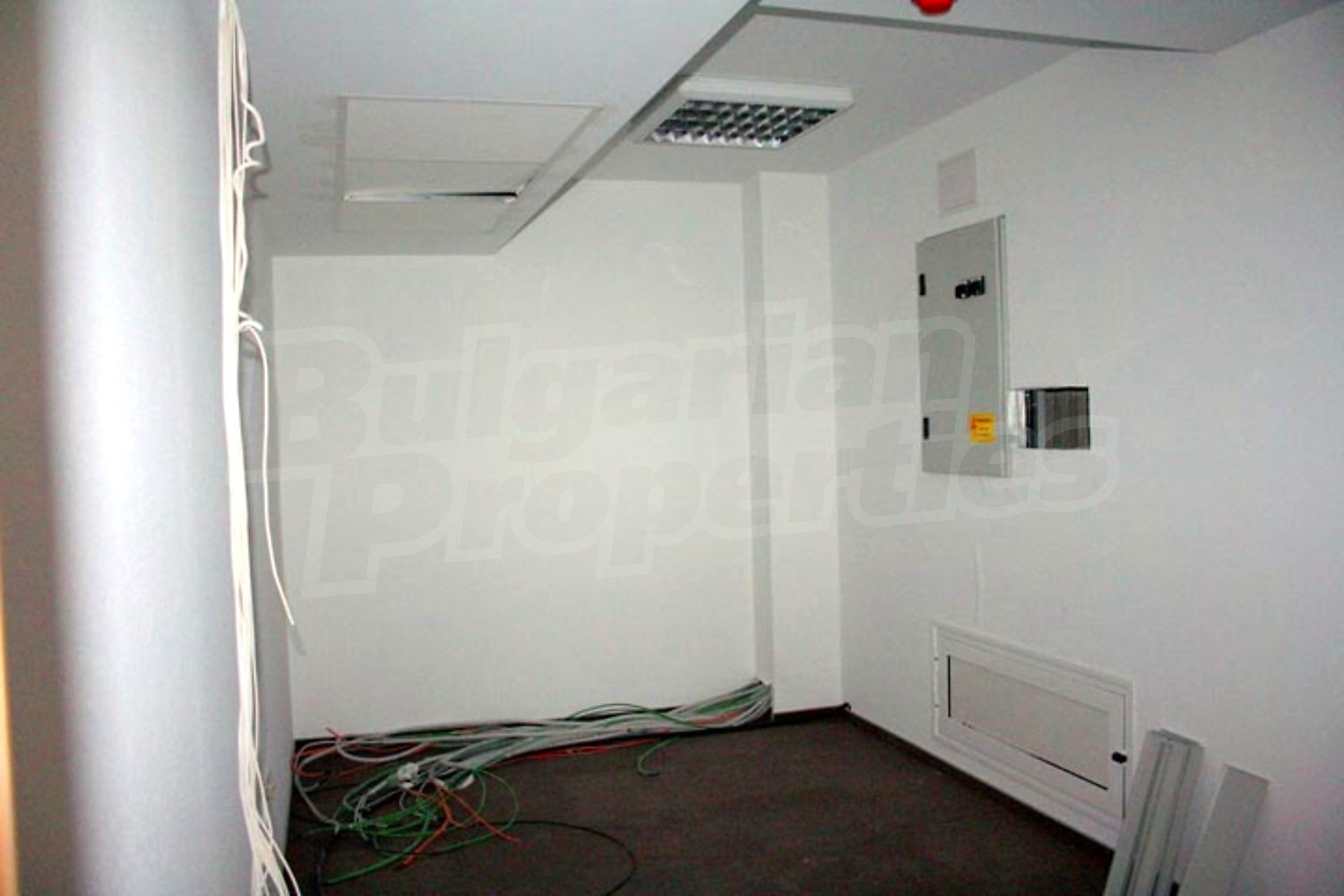 Gallery Picture 23