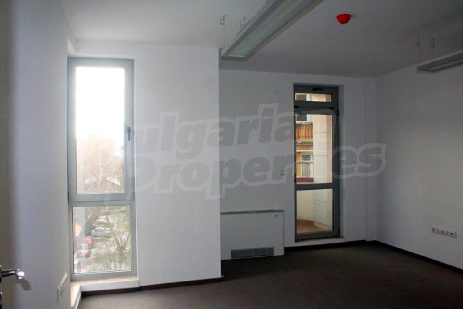 Gallery Picture 6