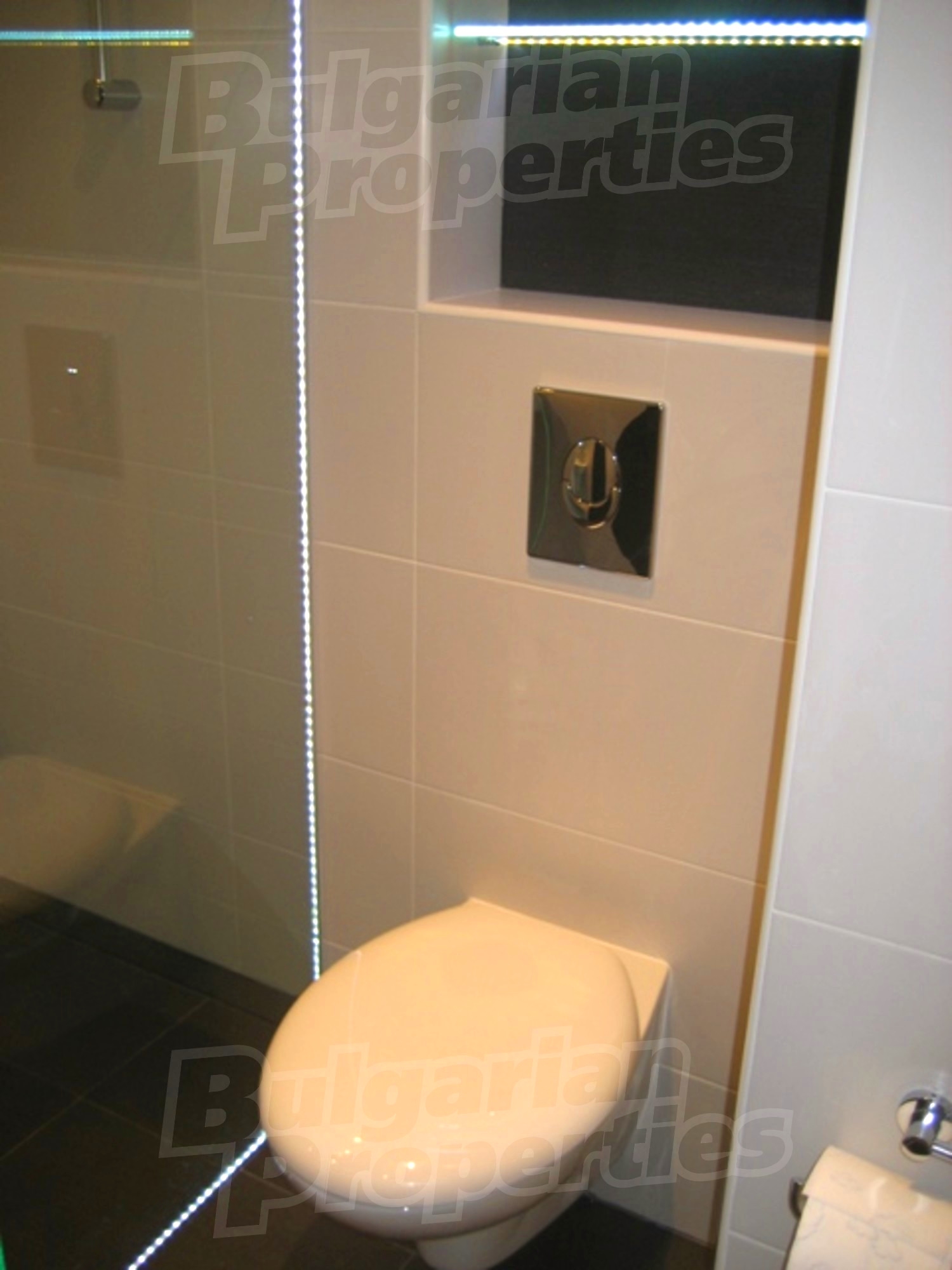 Gallery Picture 13