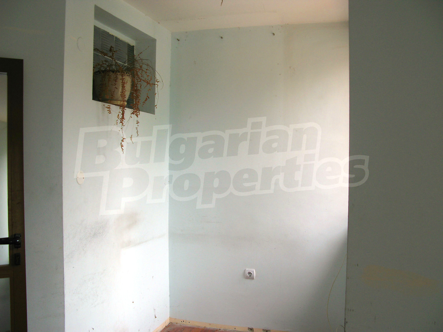 Gallery Picture 5