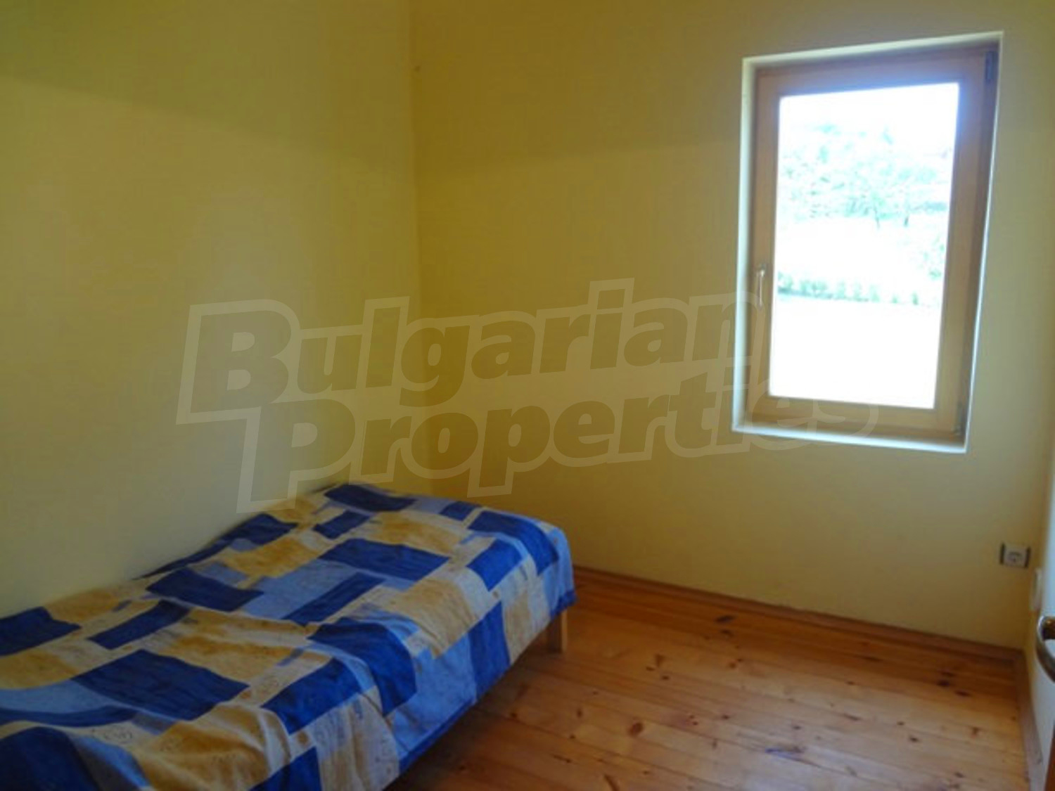 Gallery Picture 25