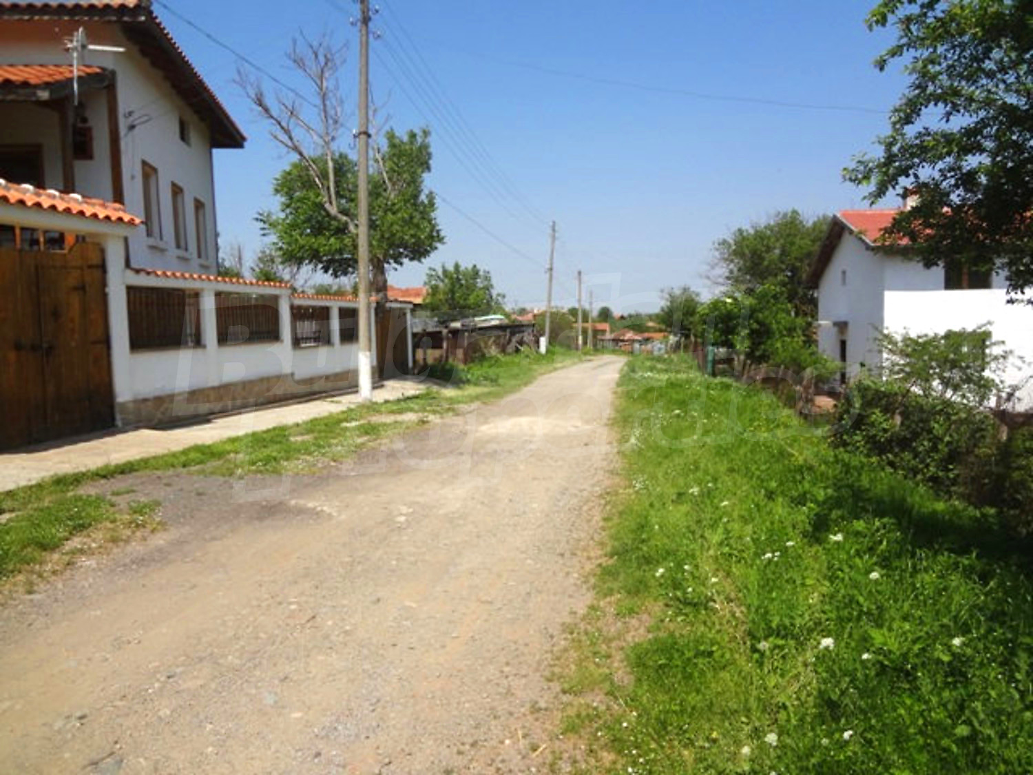 Gallery Picture 6