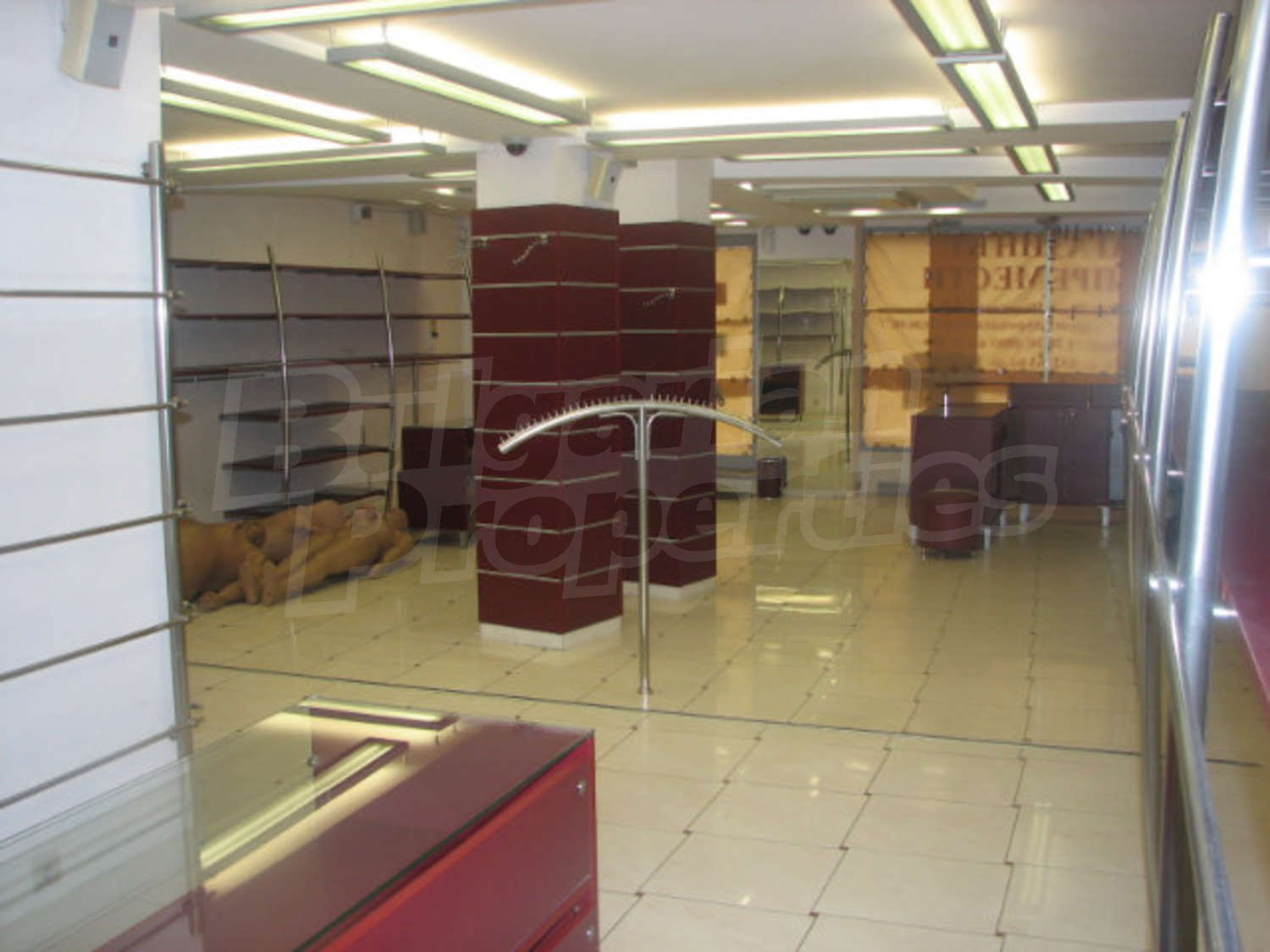 Gallery Picture 10