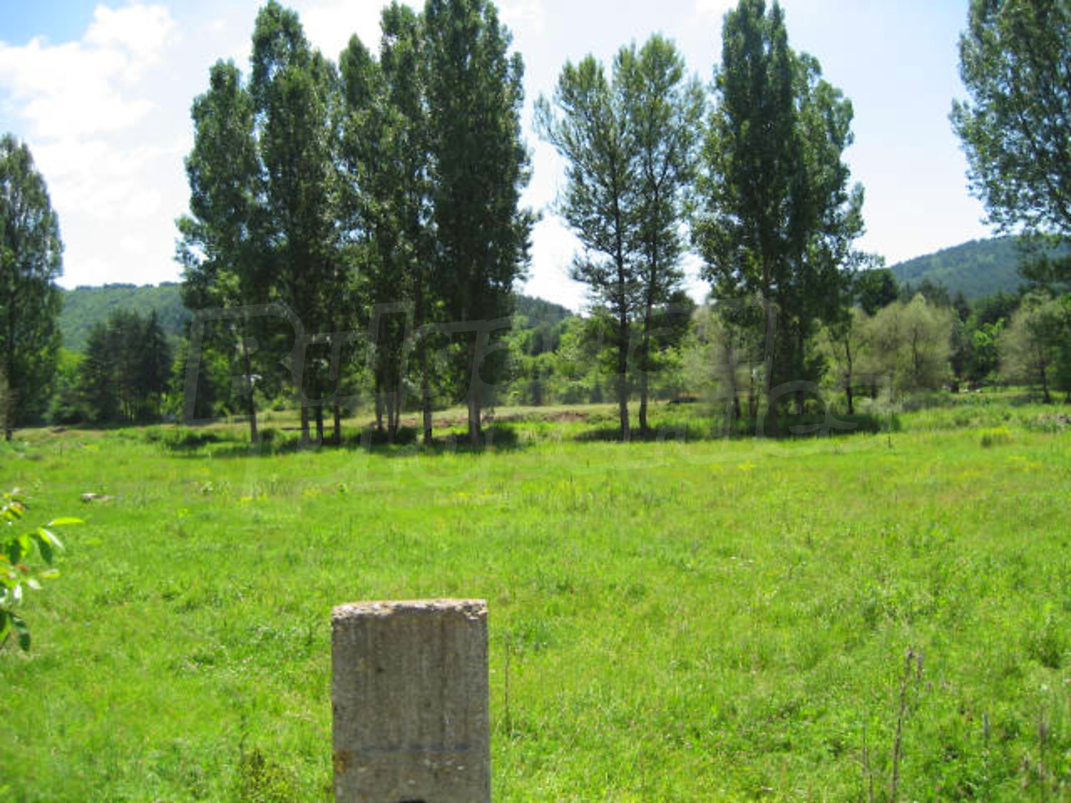 Gallery Picture 10