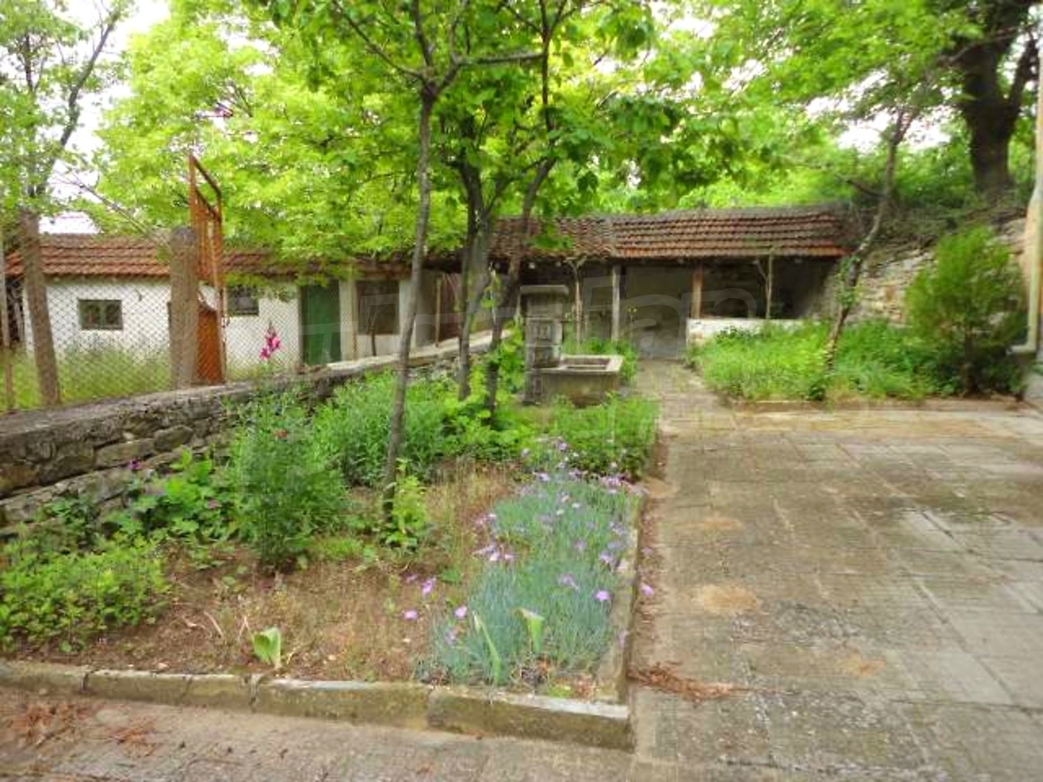 Gallery Picture 29