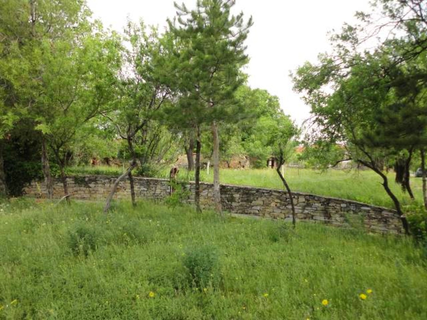 Gallery Picture 39