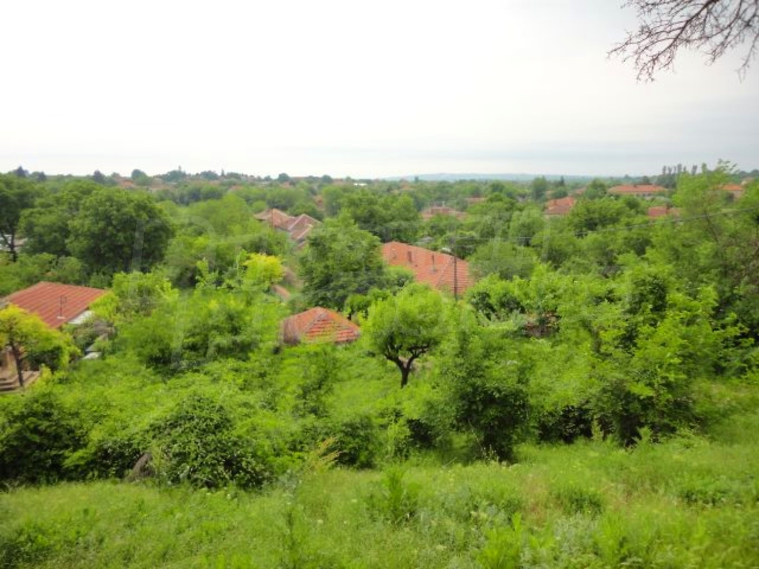Gallery Picture 43