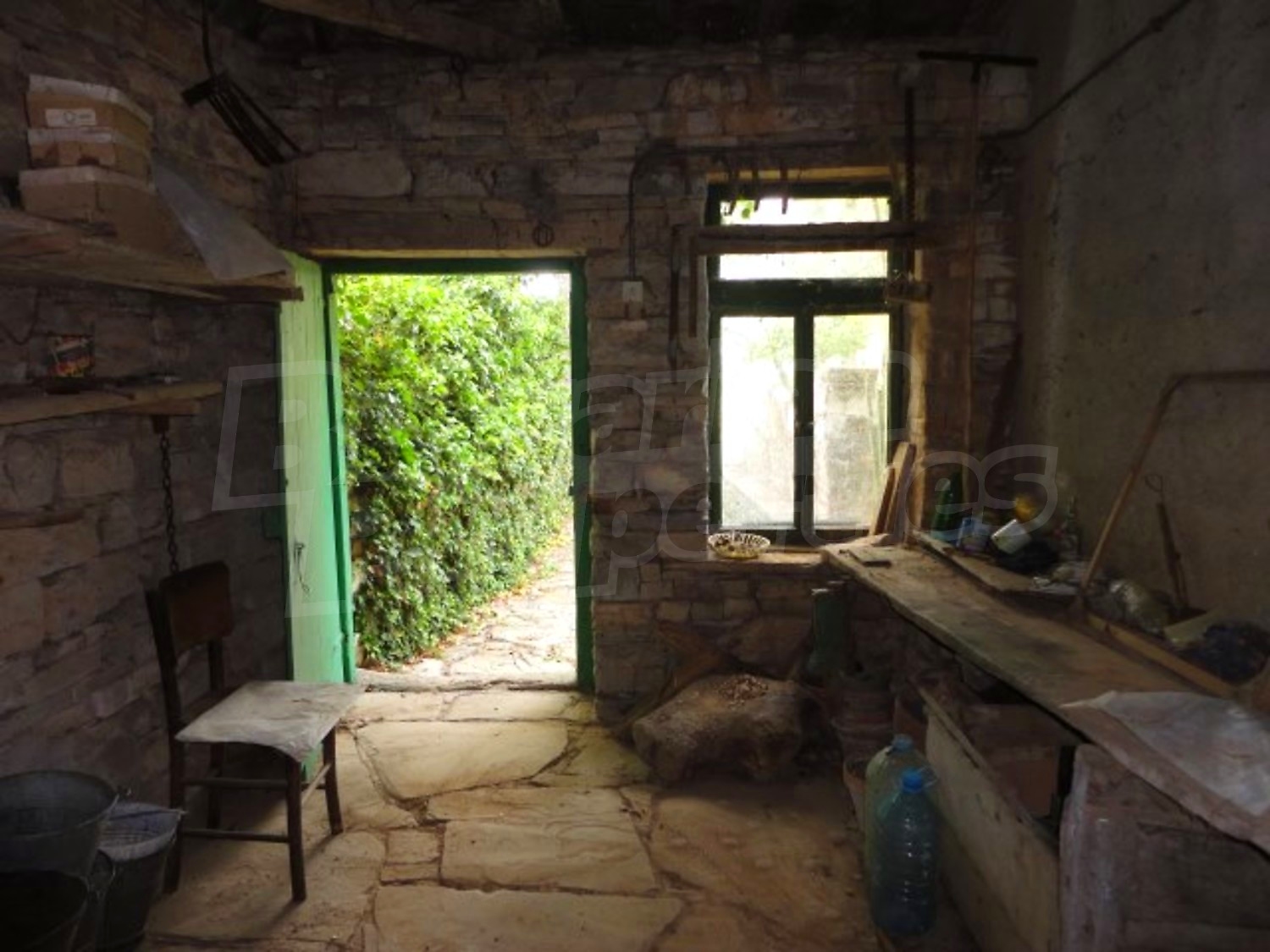 Gallery Picture 49