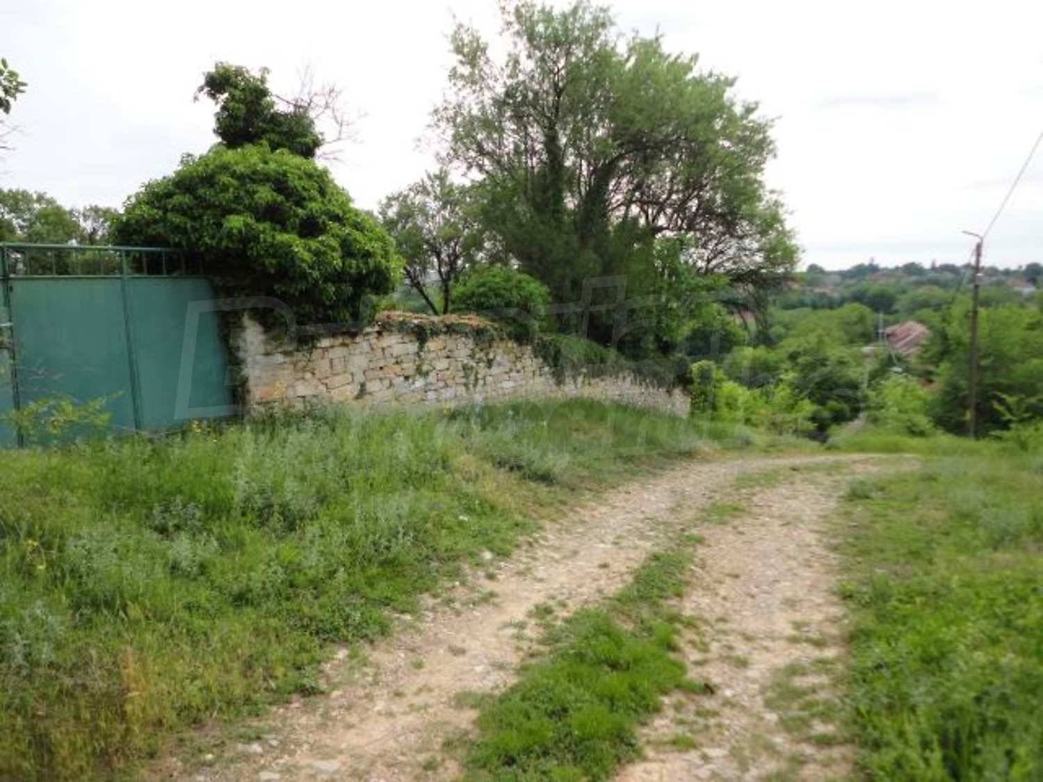 Gallery Picture 51
