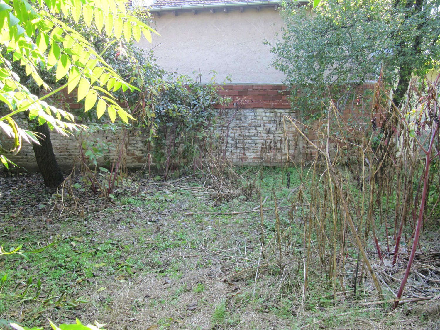 Gallery Picture 11