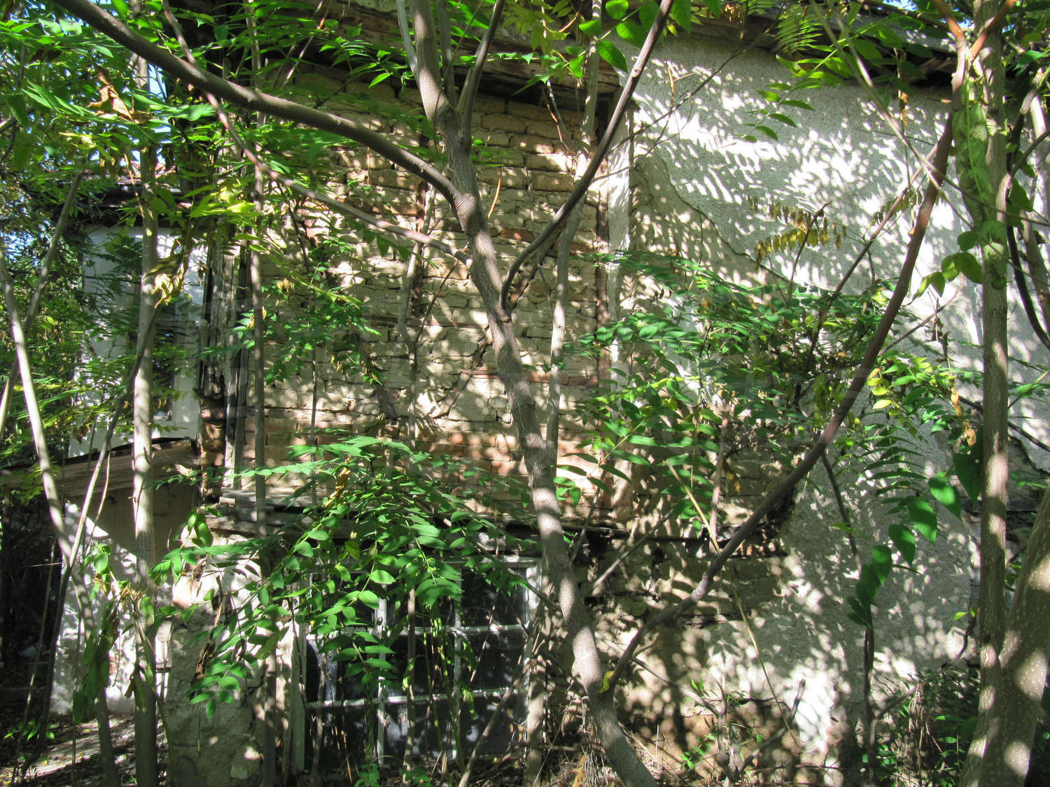 Gallery Picture 14
