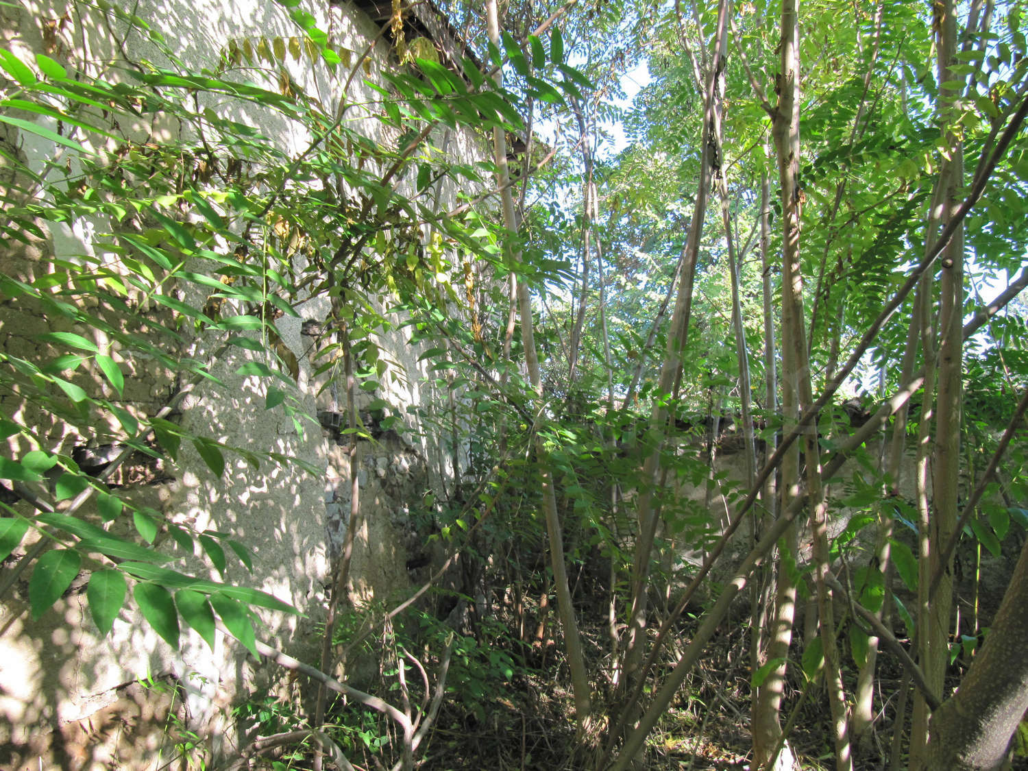 Gallery Picture 15