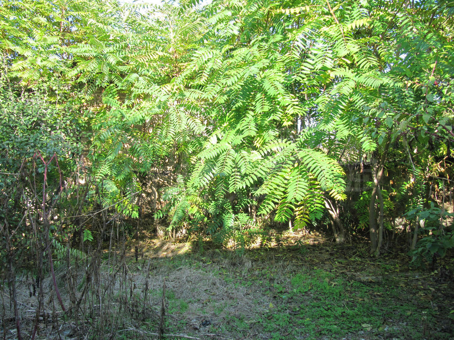 Gallery Picture 16