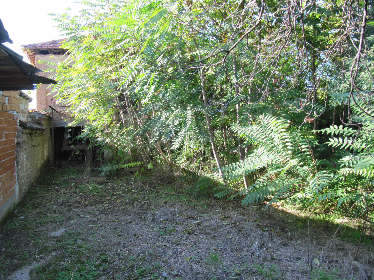 Gallery Picture 17