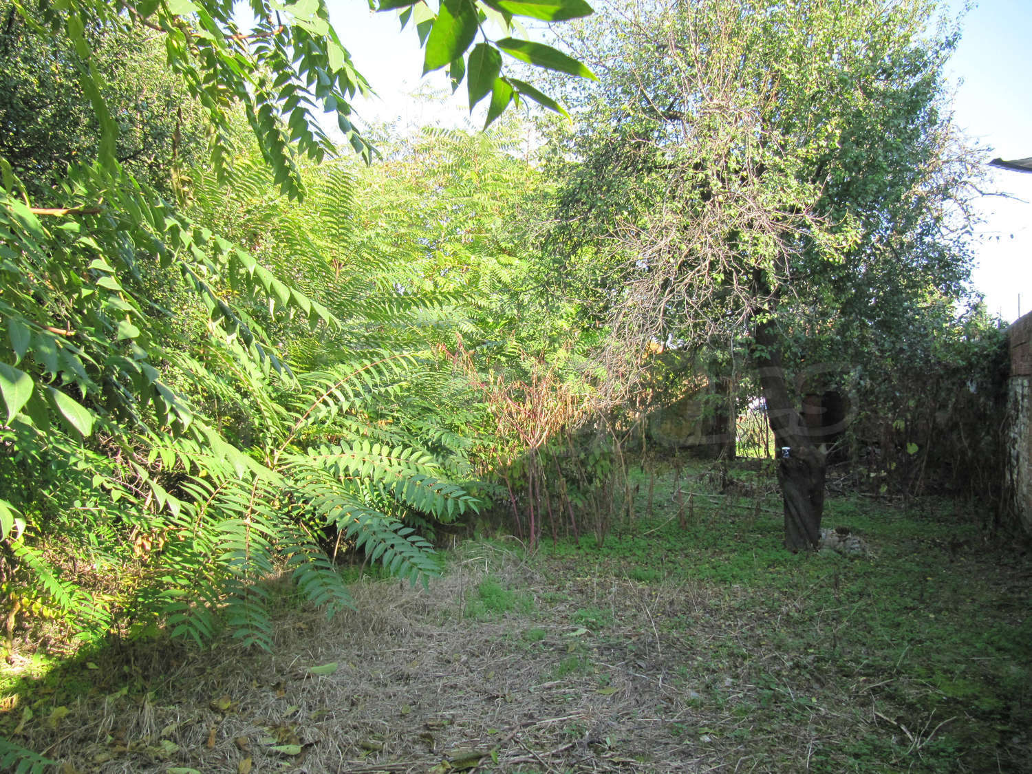 Gallery Picture 18
