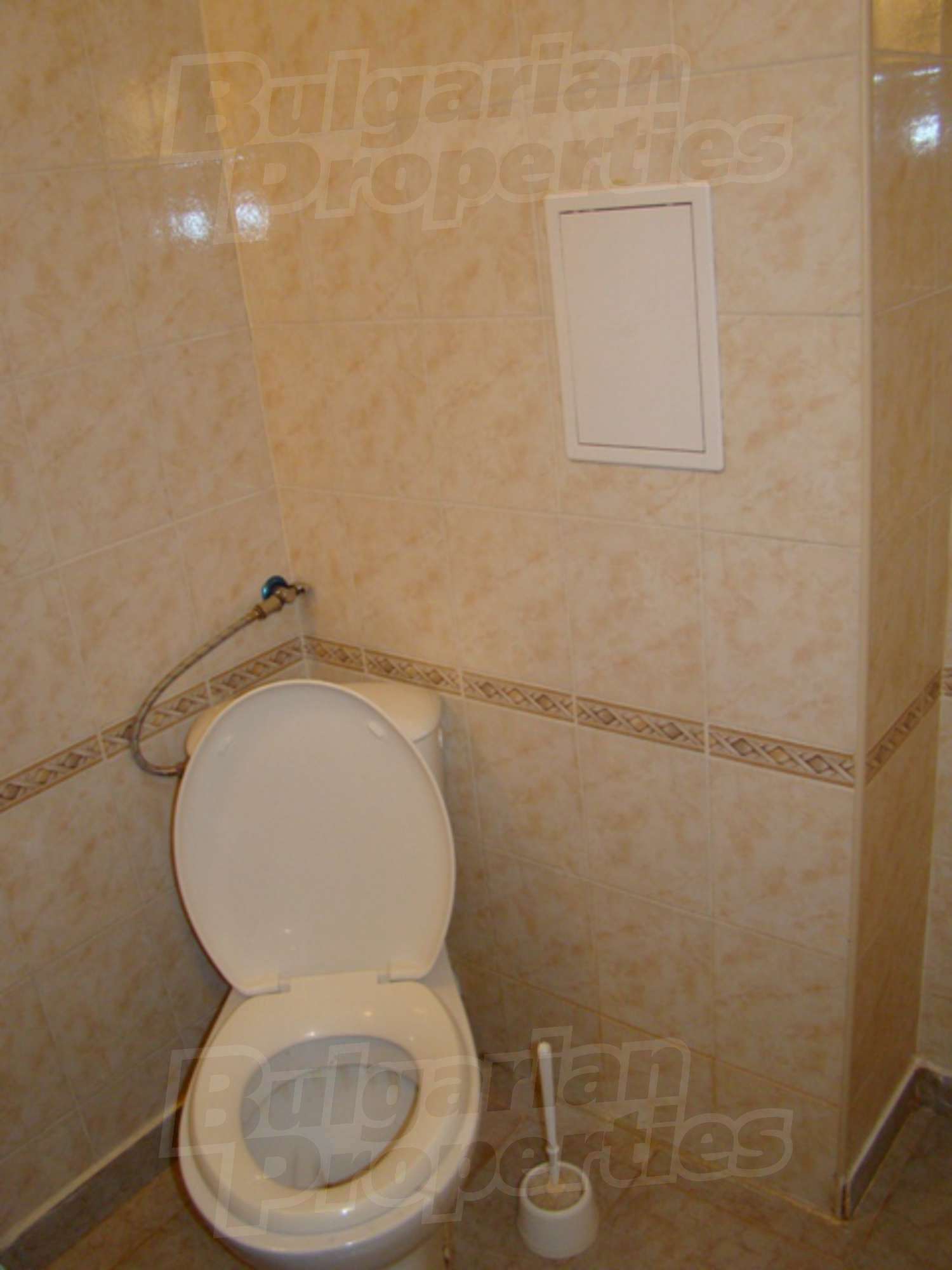 Gallery Picture 6