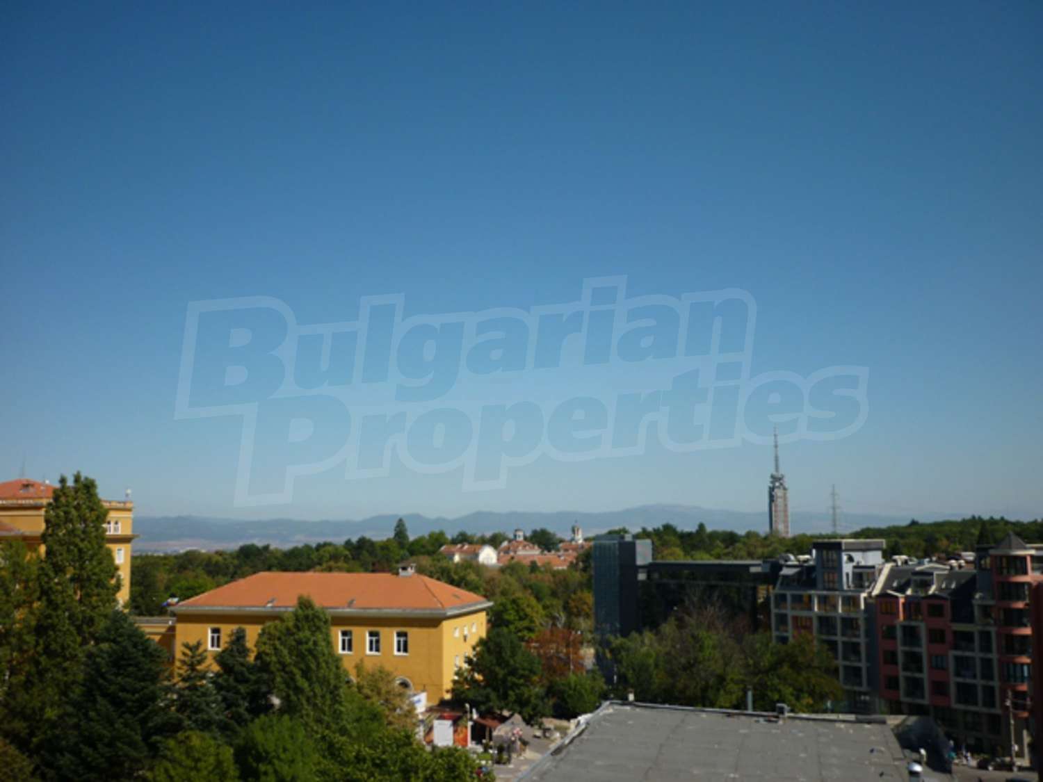 Gallery Picture 28