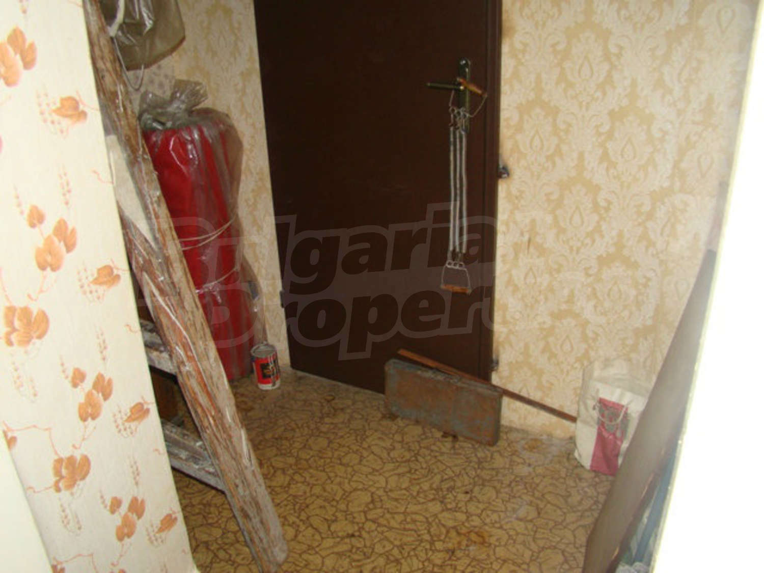 Gallery Picture 17