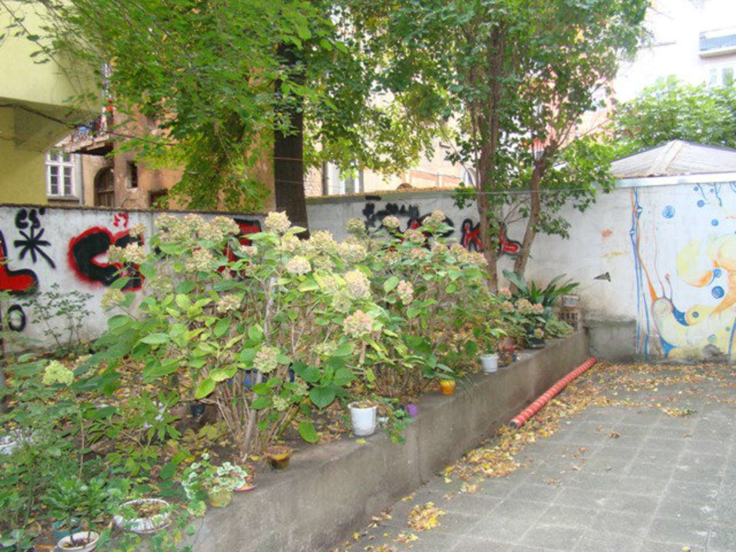 Gallery Picture 23