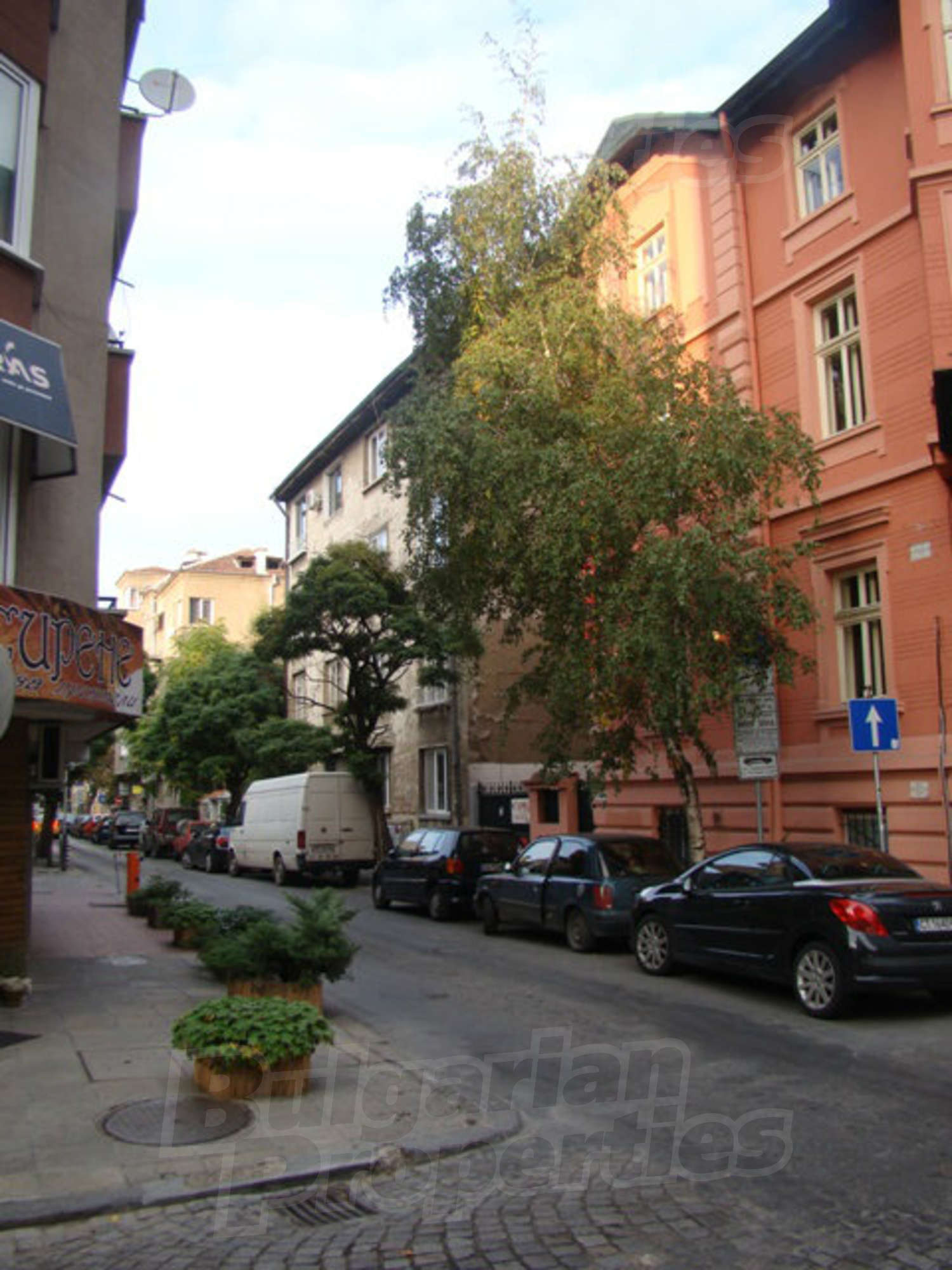 Gallery Picture 28
