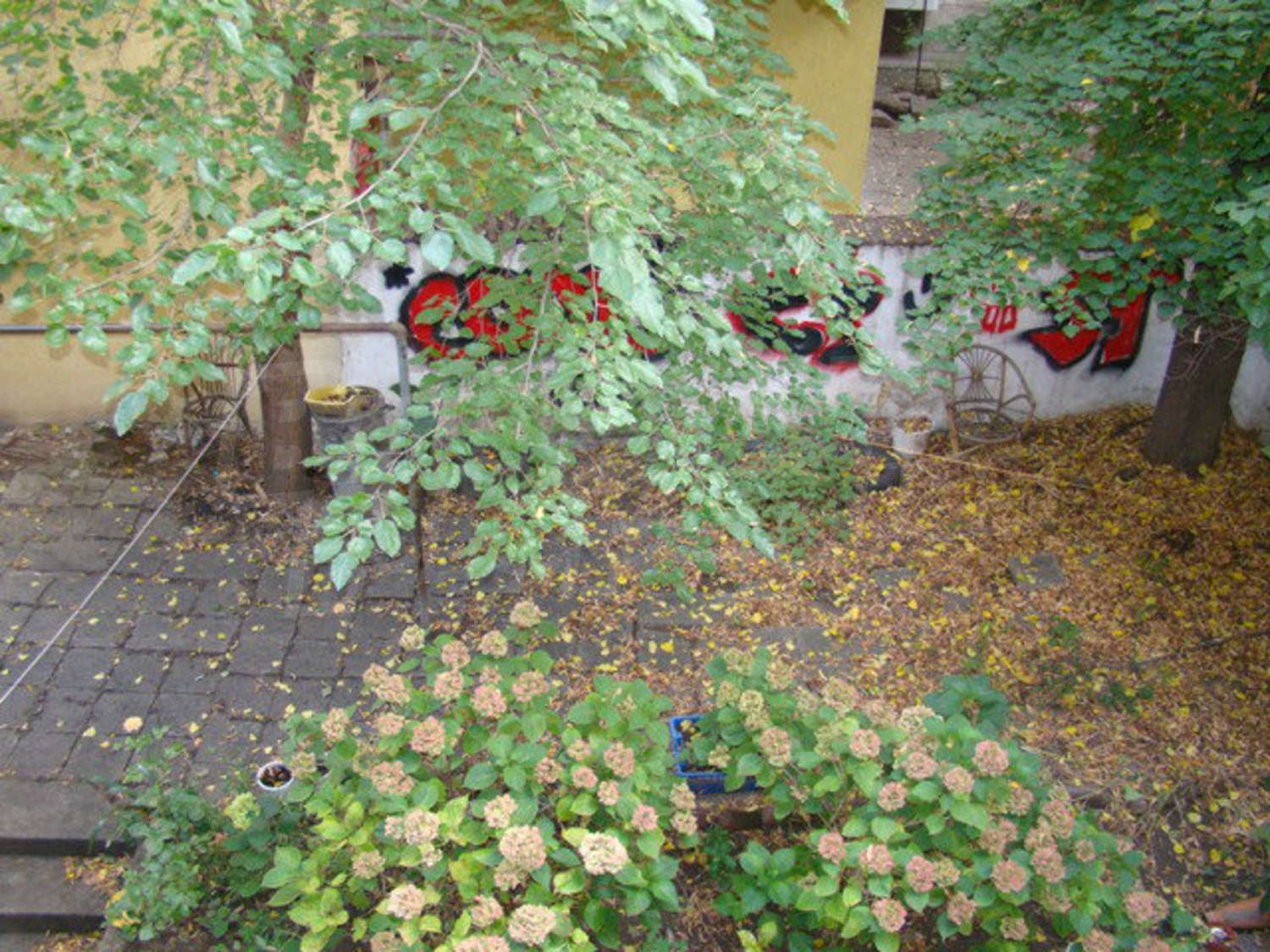 Gallery Picture 6