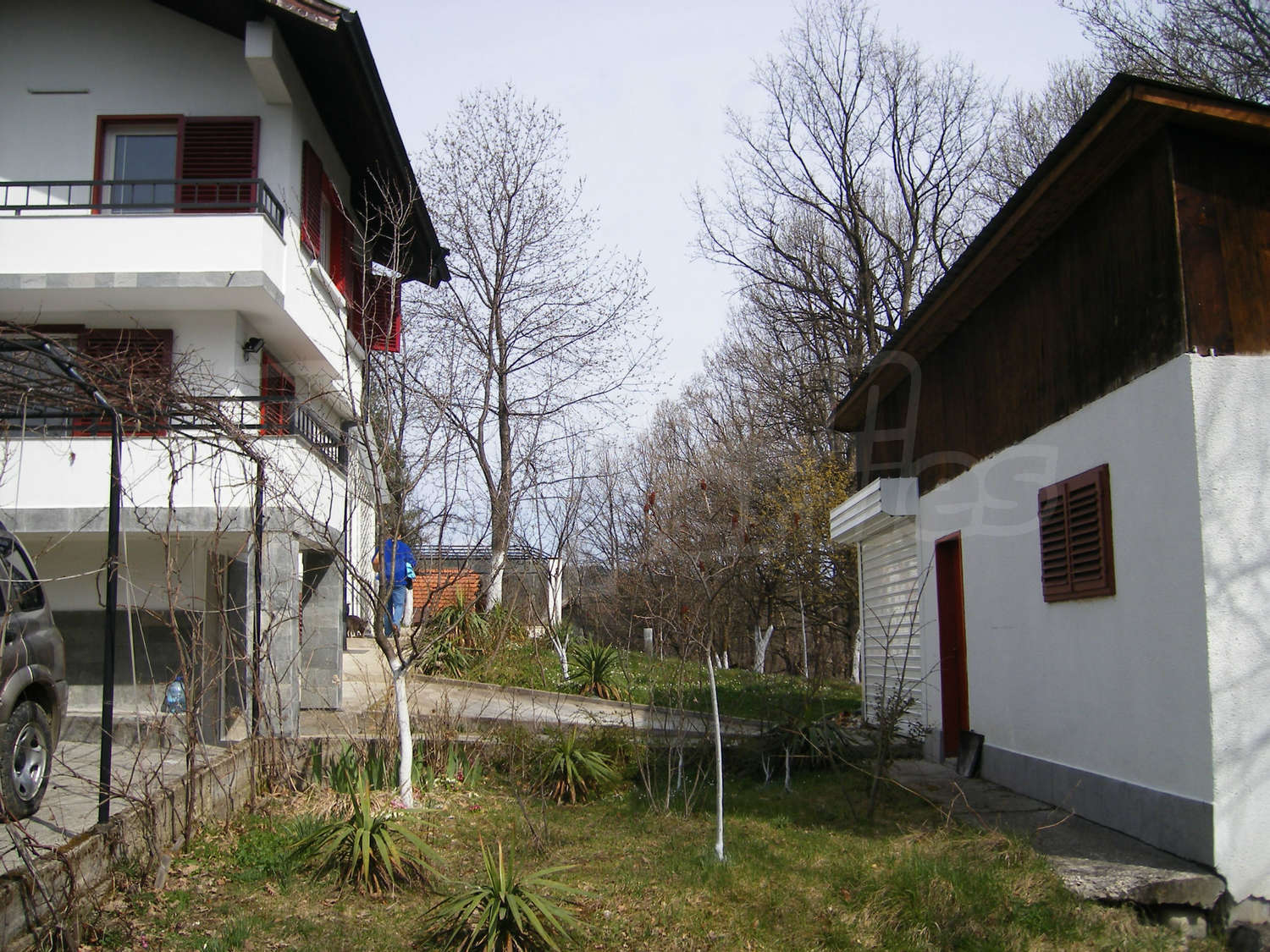 Gallery Picture 2