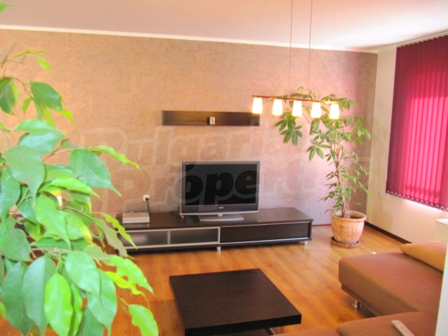 Gallery Picture 6