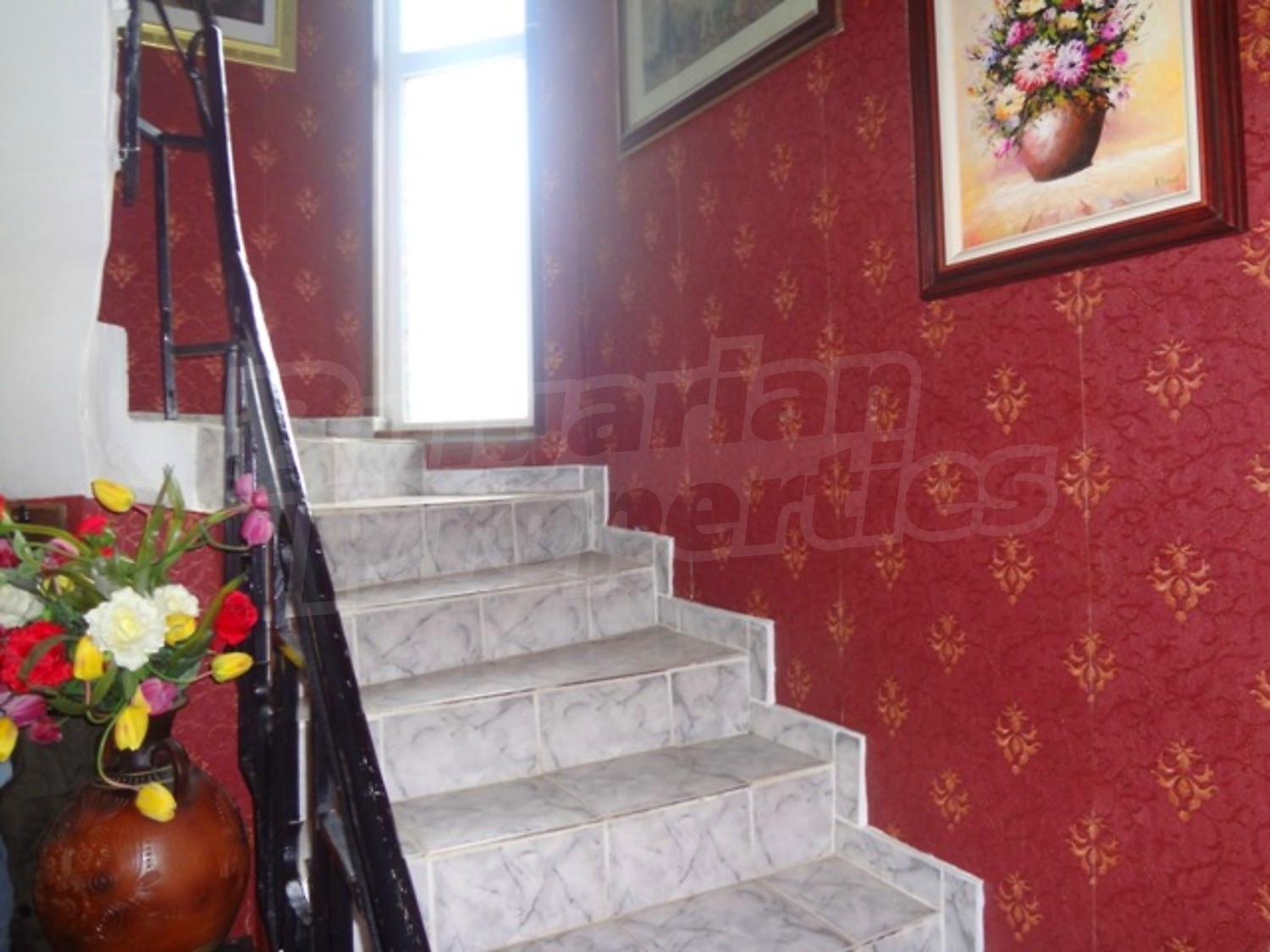 Gallery Picture 19