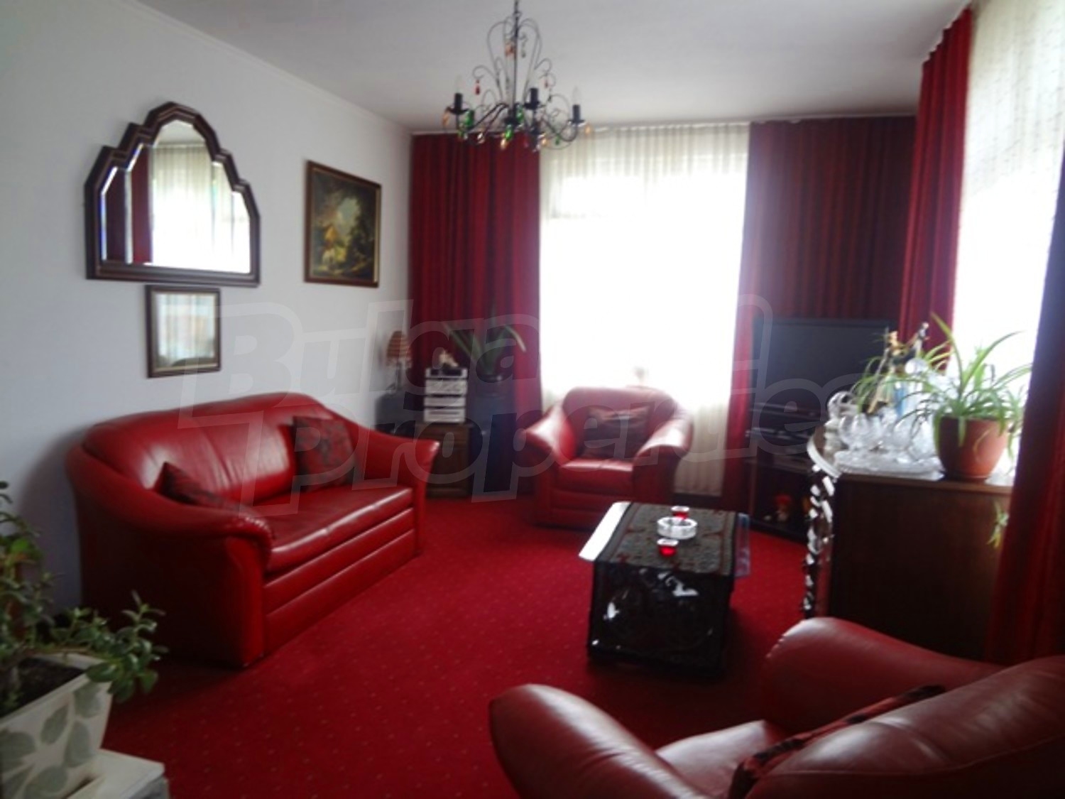 Gallery Picture 5