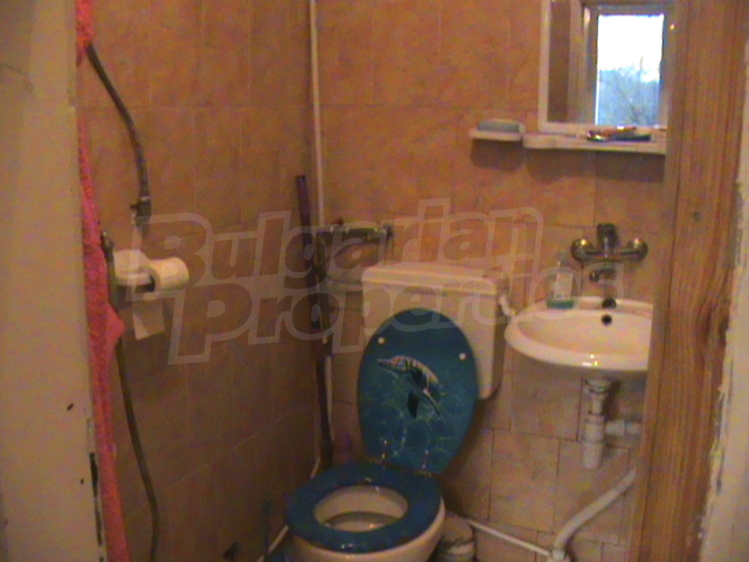Gallery Picture 11