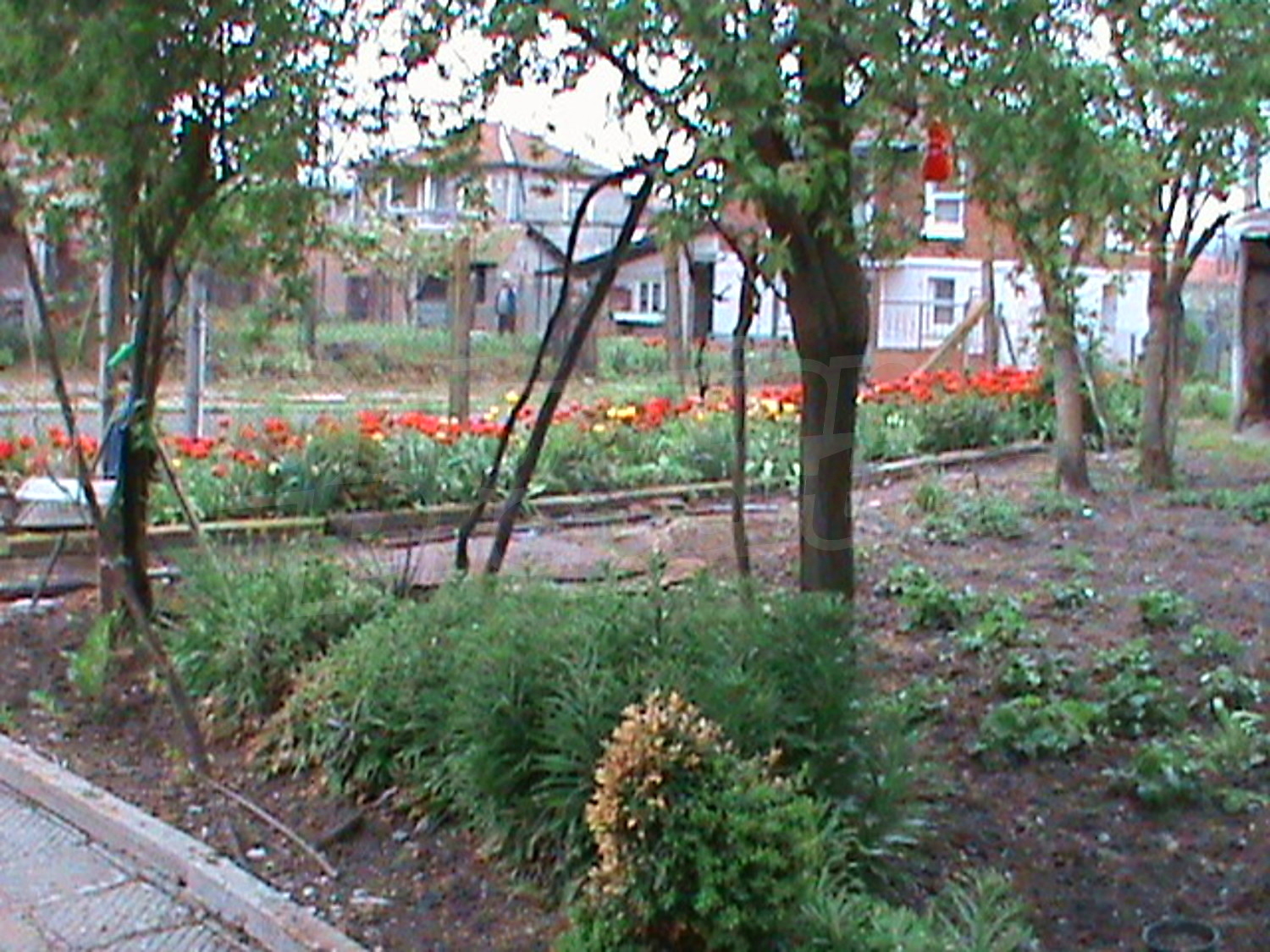 Gallery Picture 14