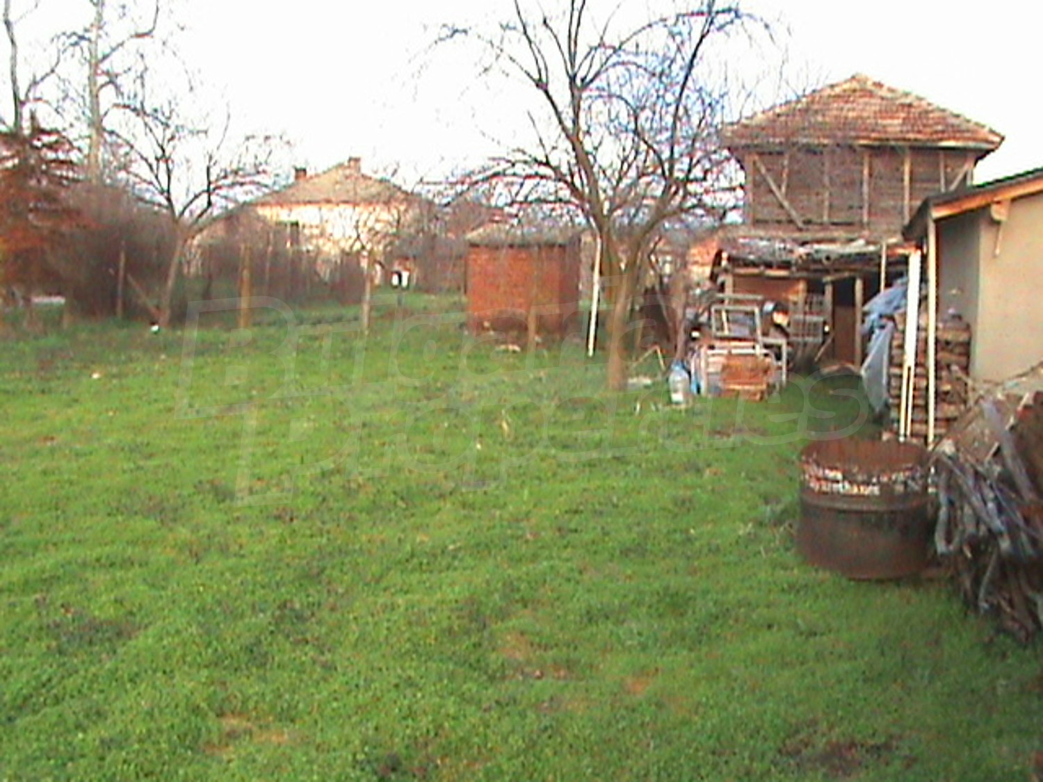 Gallery Picture 15