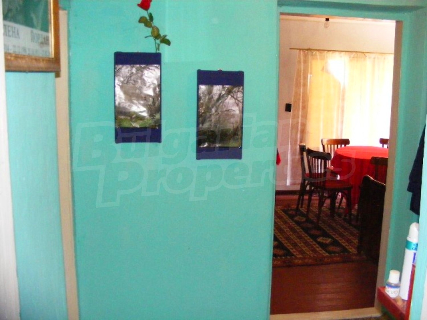Gallery Picture 15