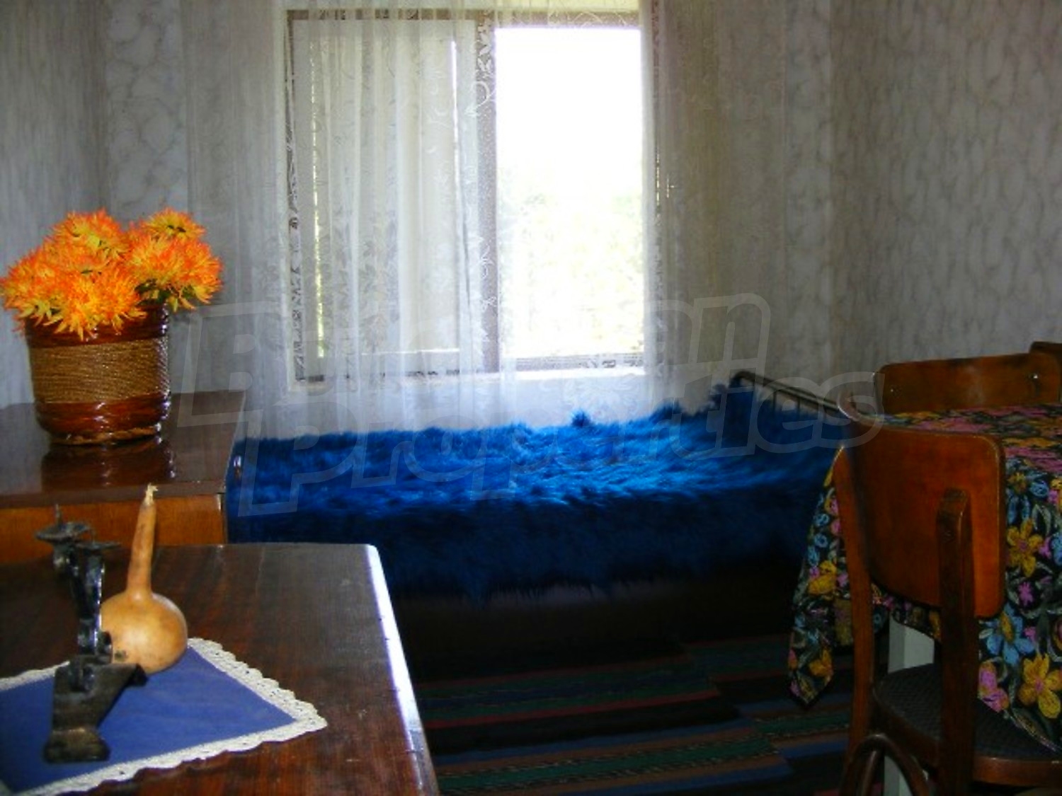 Gallery Picture 22
