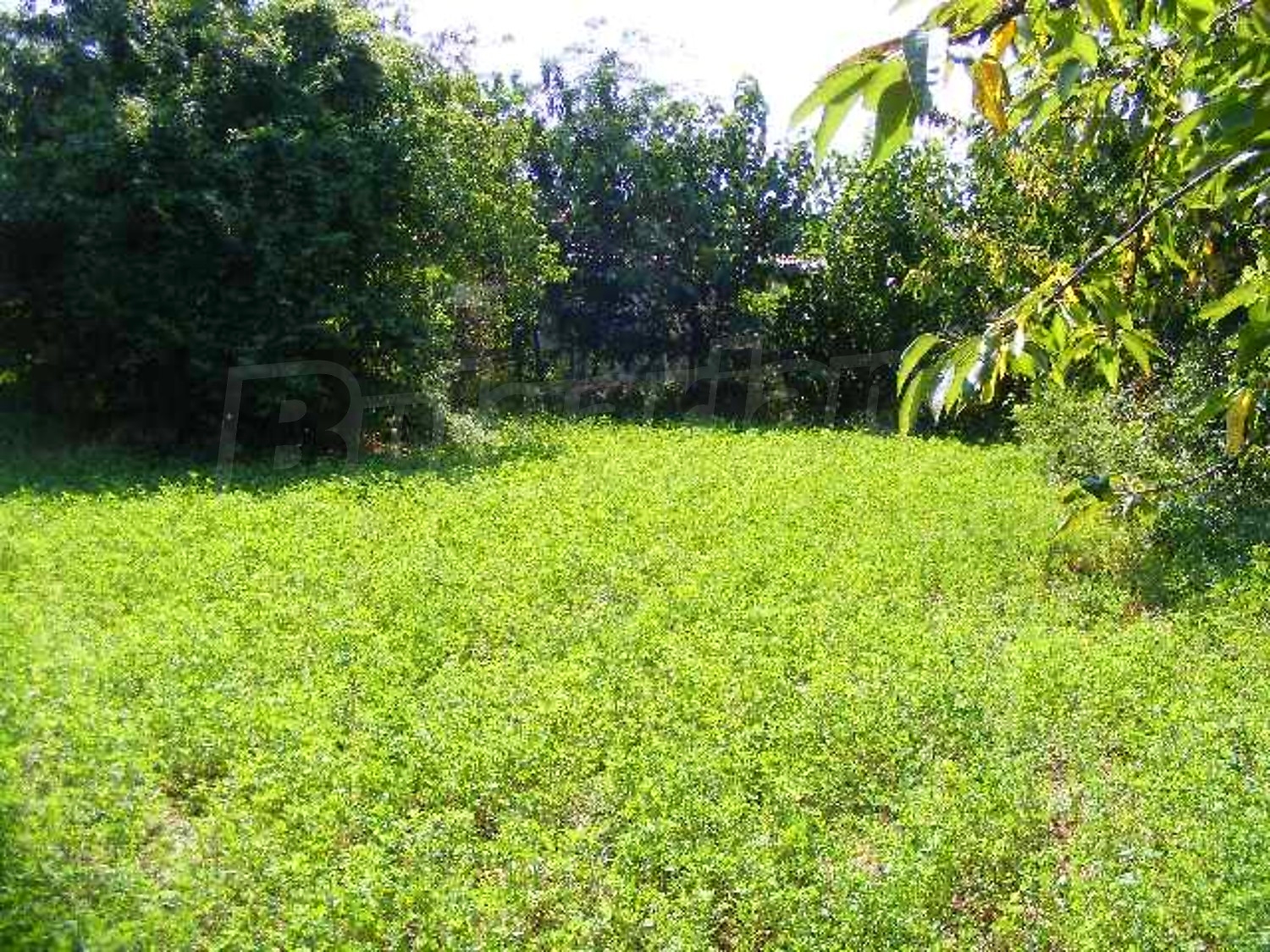 Gallery Picture 29