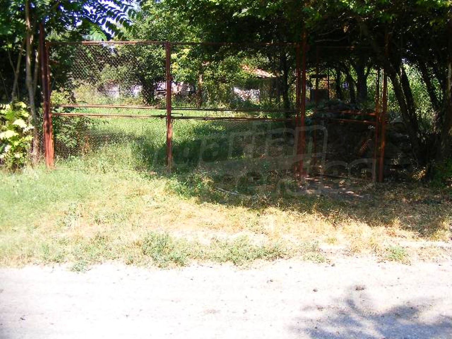 Gallery Picture 39