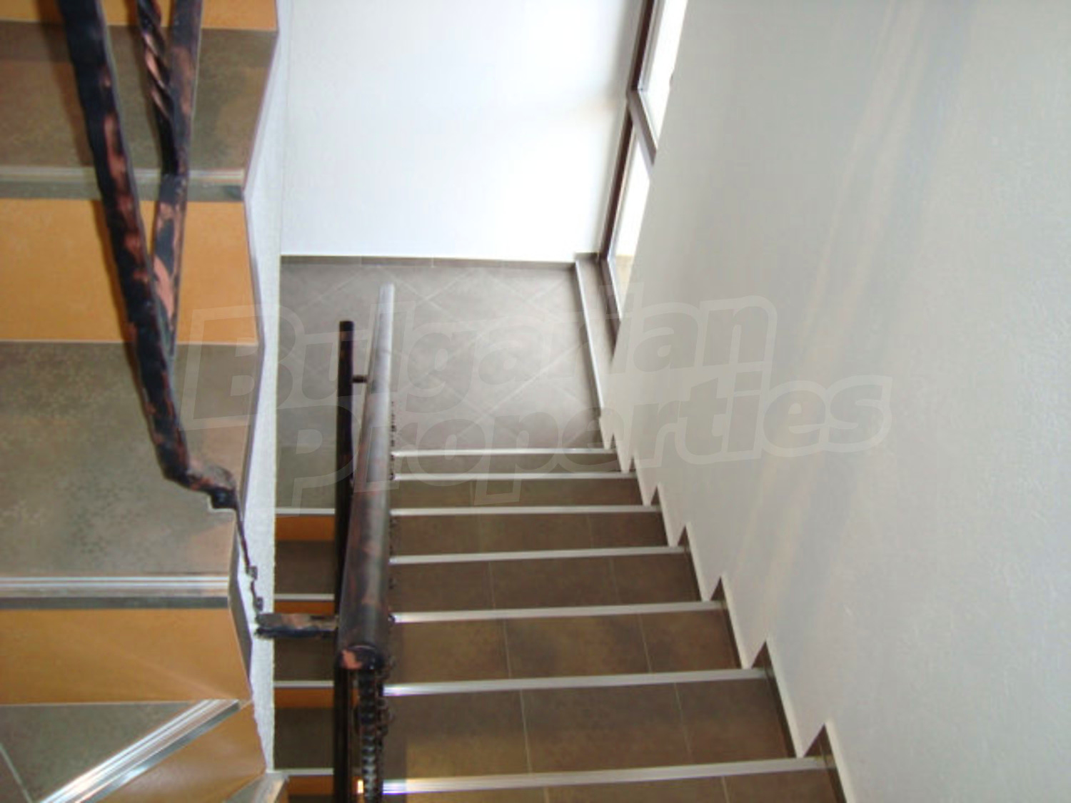 Gallery Picture 25