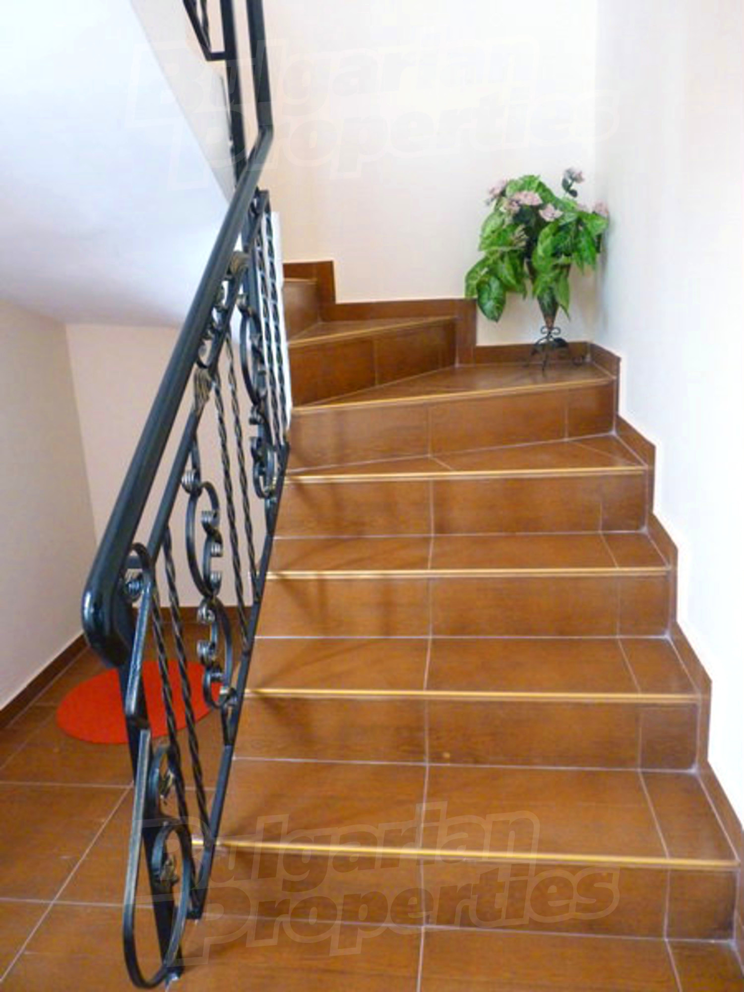 Gallery Picture 34