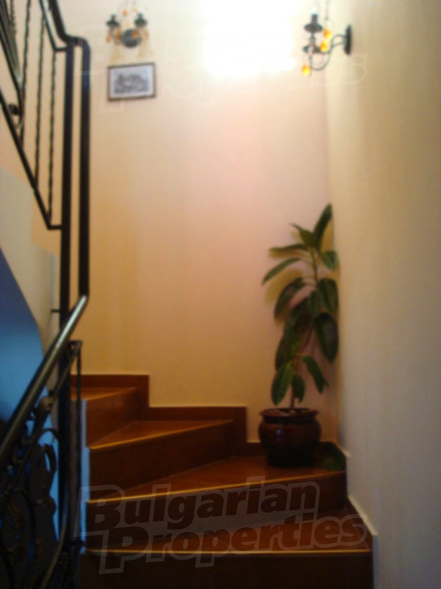 Gallery Picture 48