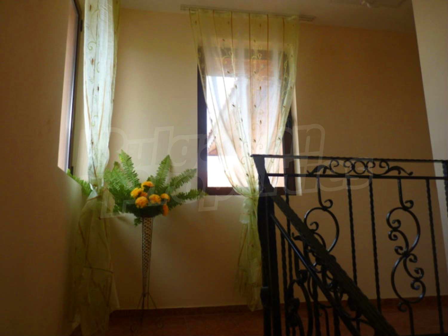 Gallery Picture 50
