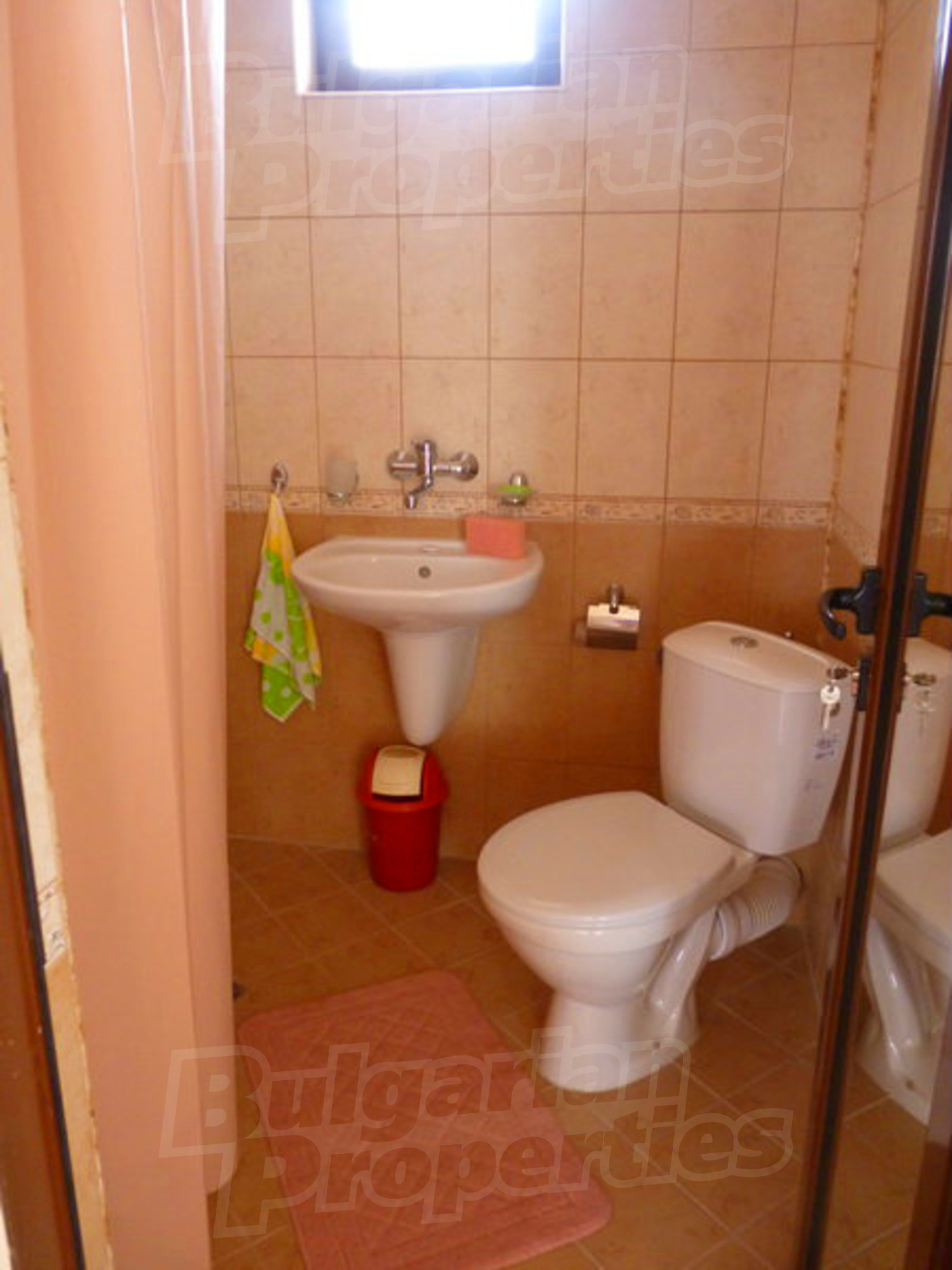Gallery Picture 55