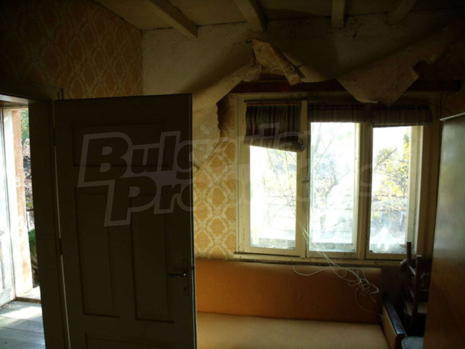 Gallery Picture 12