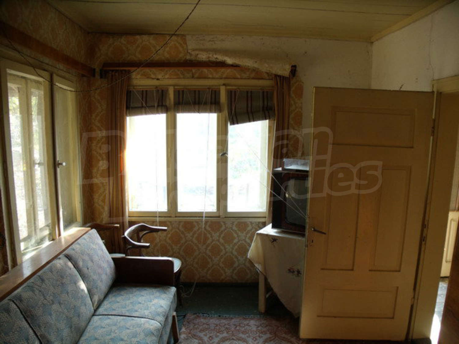 Gallery Picture 16