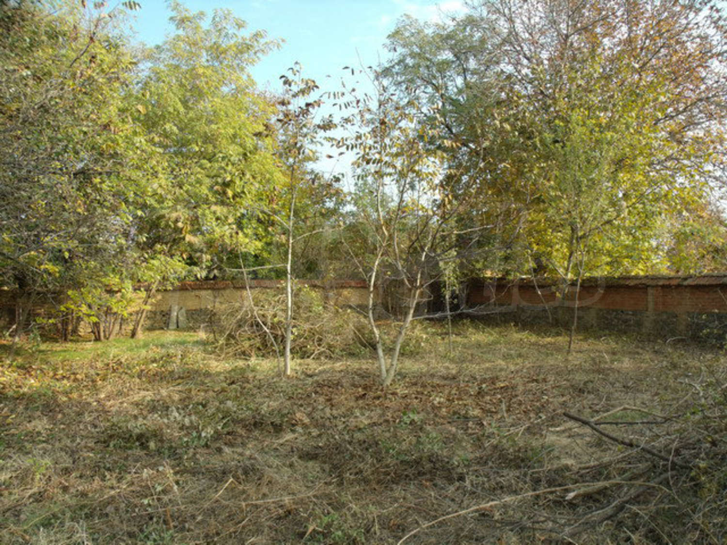 Gallery Picture 19
