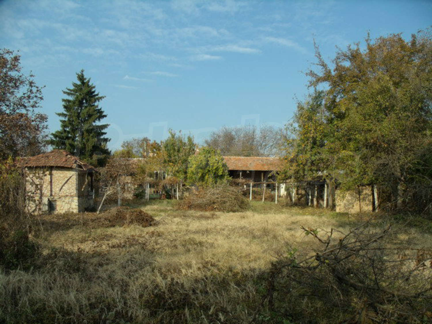 Gallery Picture 20