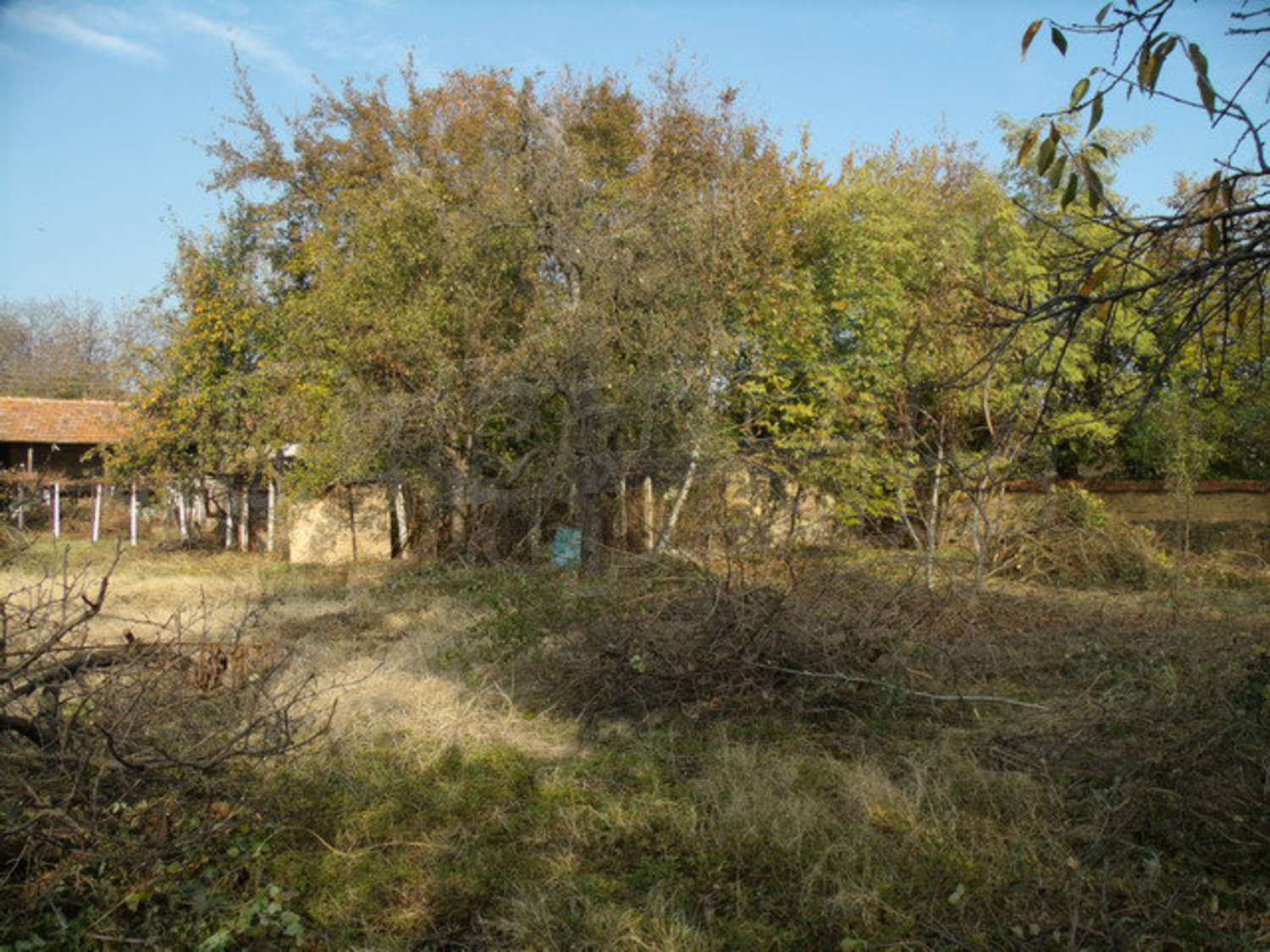 Gallery Picture 21