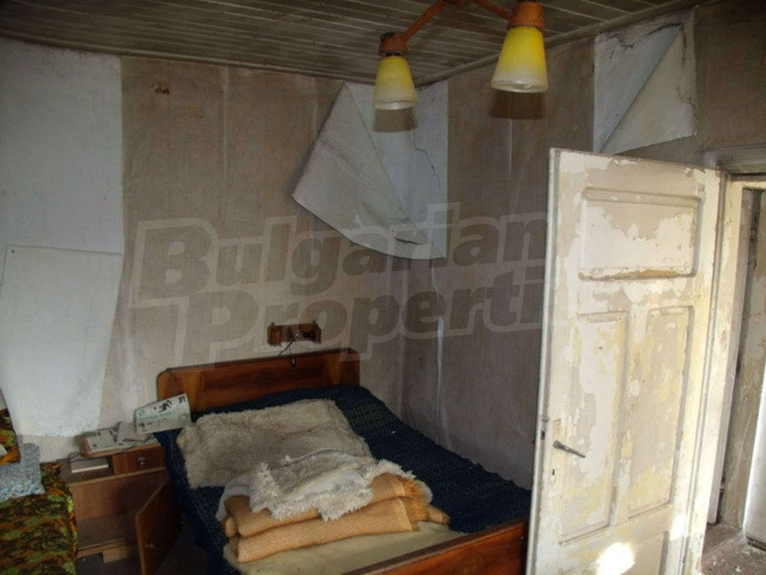 Gallery Picture 29