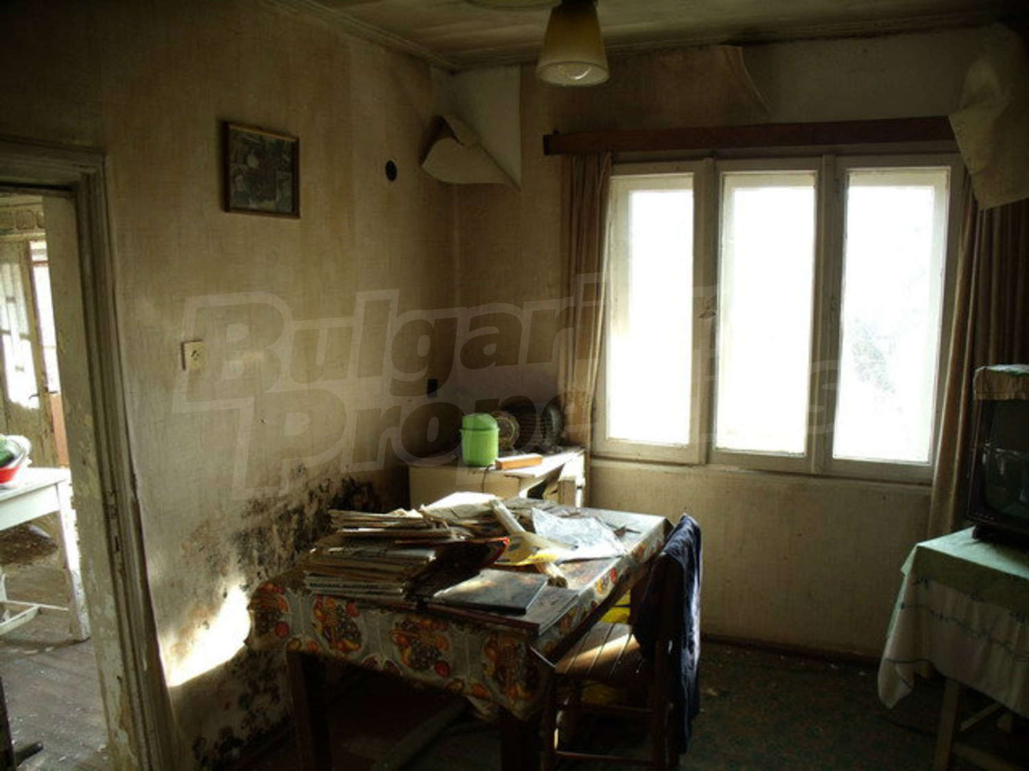 Gallery Picture 30