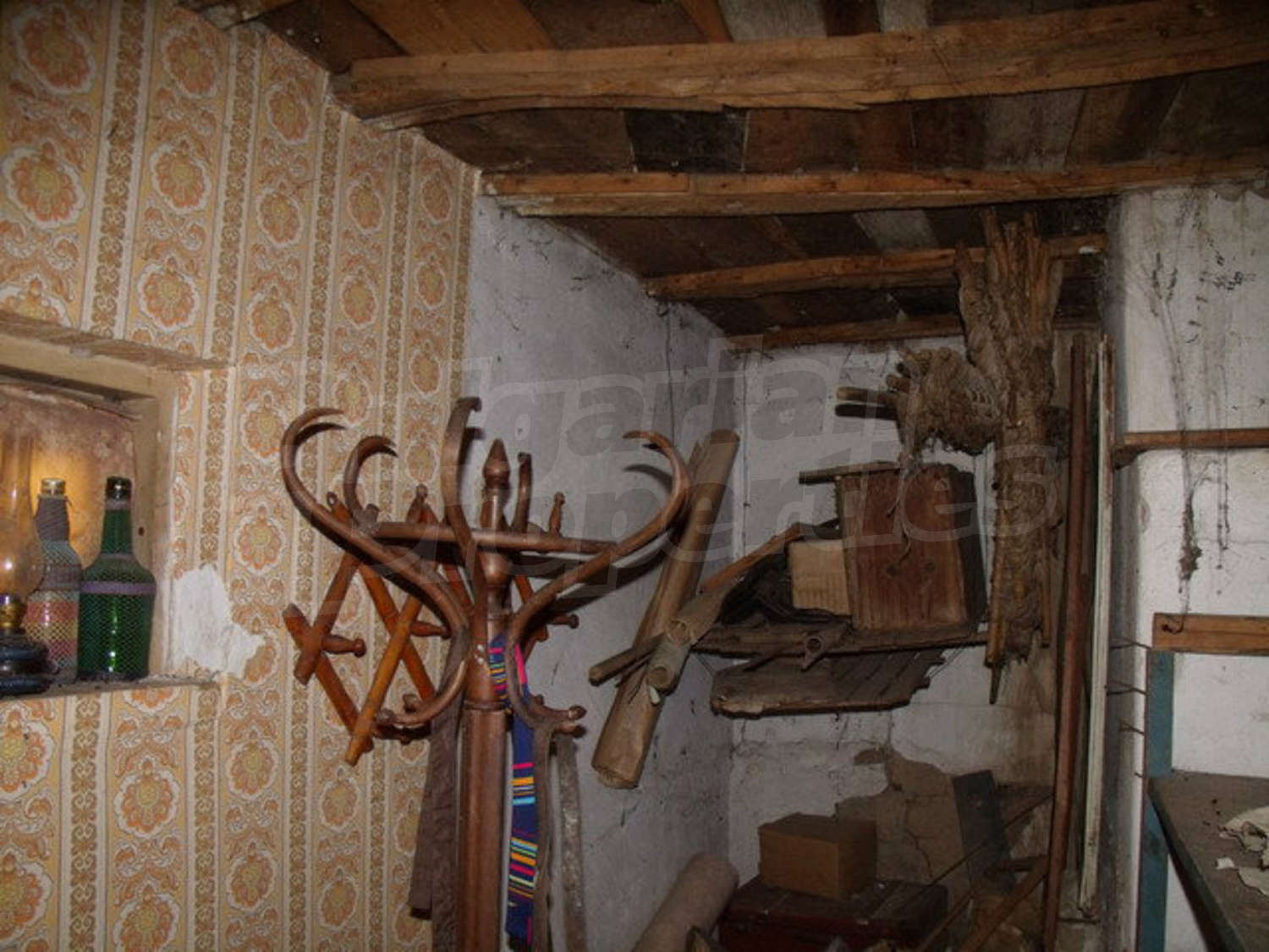 Gallery Picture 31