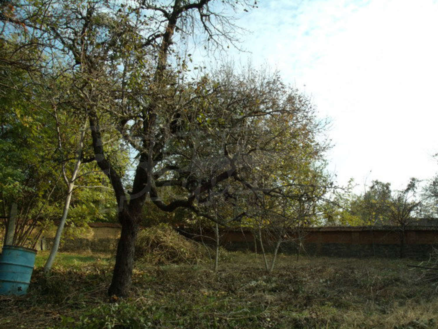 Gallery Picture 37